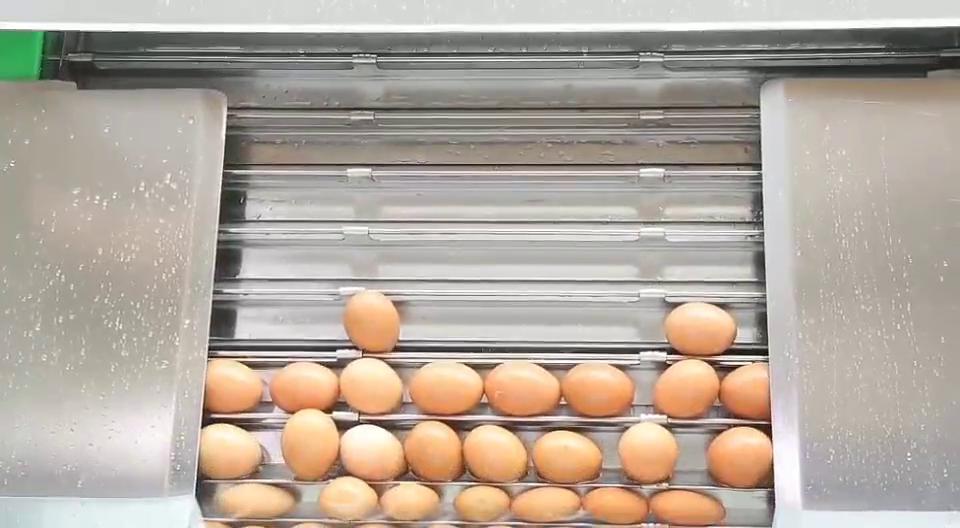 04-水中上蛋機(jī)設(shè)備