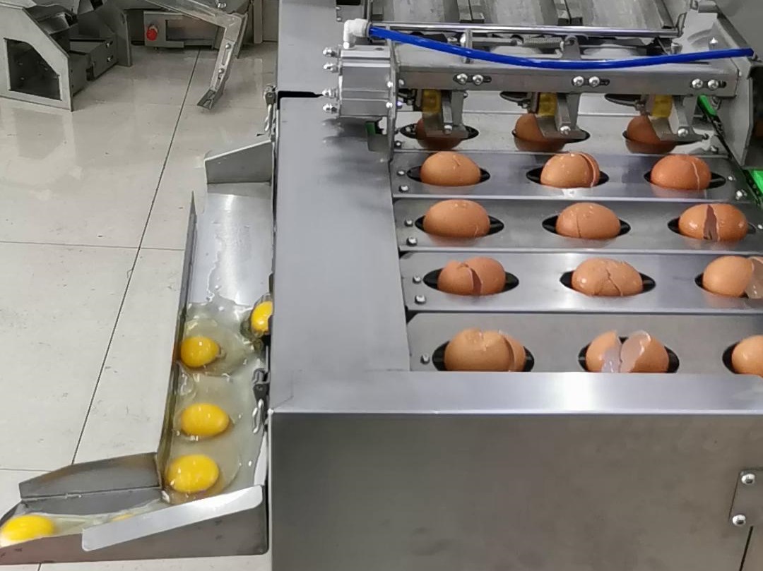 03-三排敲蛋機(jī)-磕蛋機(jī)-破蛋機(jī)