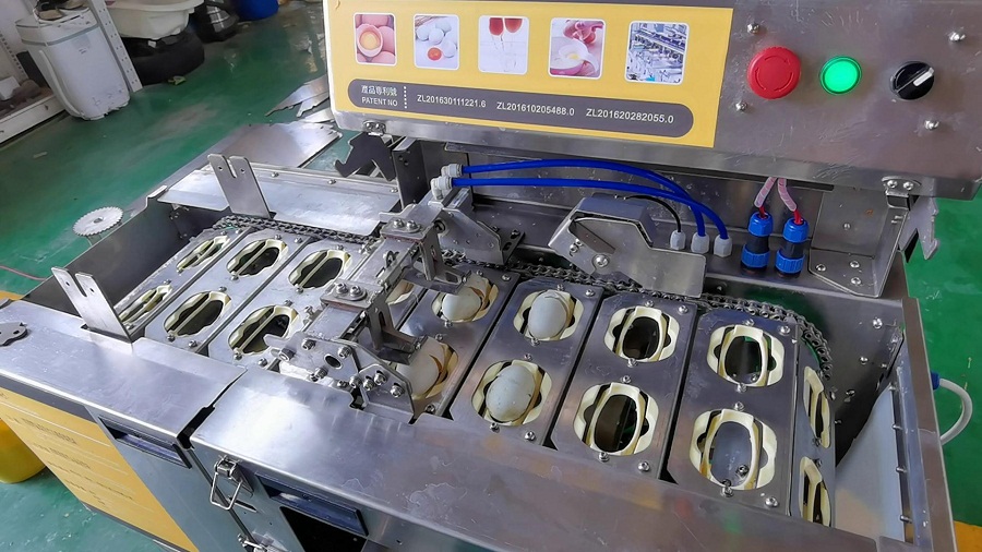 四聯(lián)式敲蛋機(jī)-雙排破蛋-咸鴨蛋磕蛋機(jī)