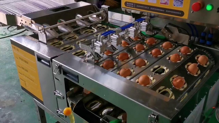 四聯(lián)式敲蛋機-四排破蛋-對接型-全蛋液（雞蛋）