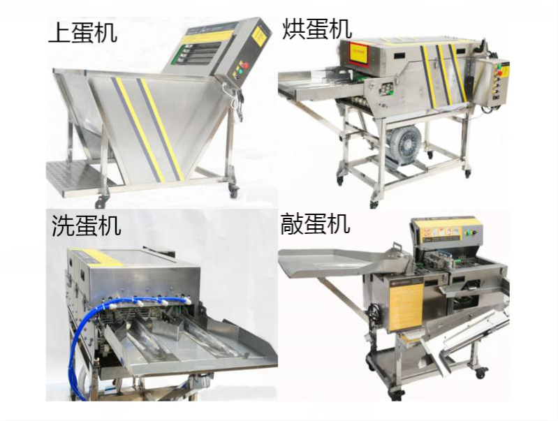 上蛋機(jī)+烘蛋機(jī)+洗蛋機(jī)+敲蛋機(jī)