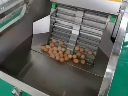 水中上蛋機(jī)