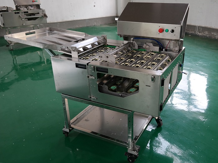 敲蛋機能否用于大規(guī)模蛋類加工？